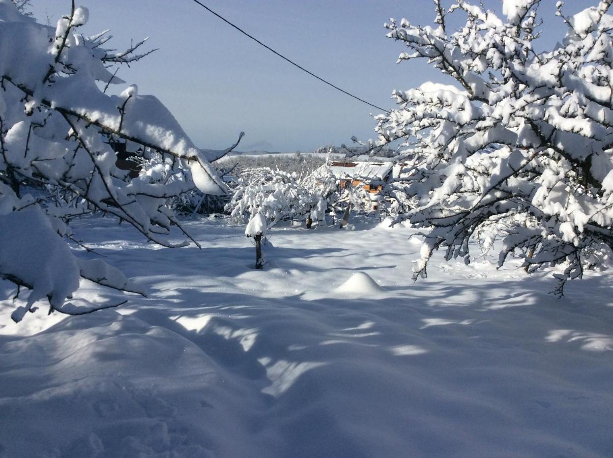 Hébergement de vacances Maison Independante De Montagne En Alsace Bellefosse