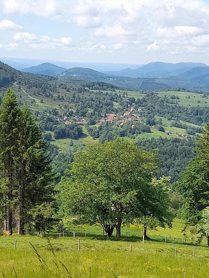 Maison Independante De Montagne En Alsace