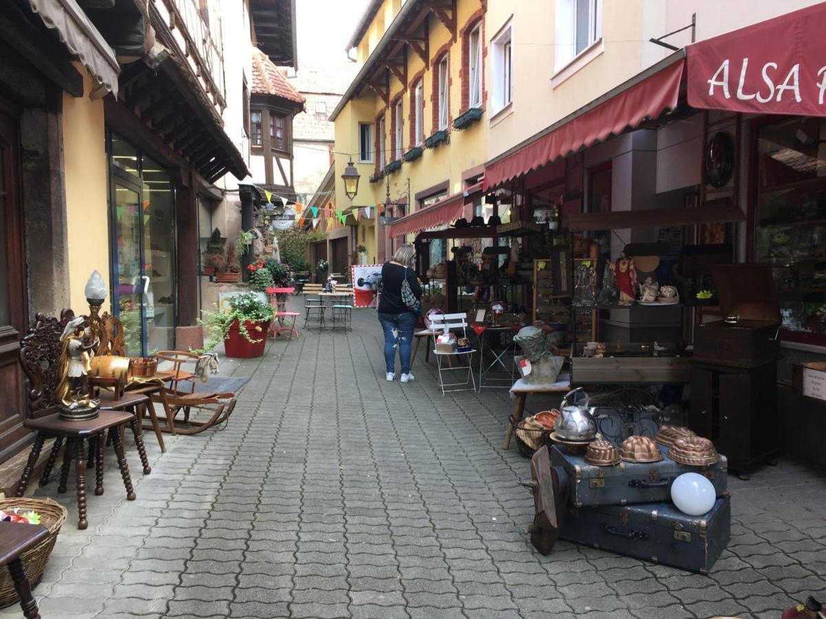 Maison Independante De Montagne En Alsace Hébergement de vacances *