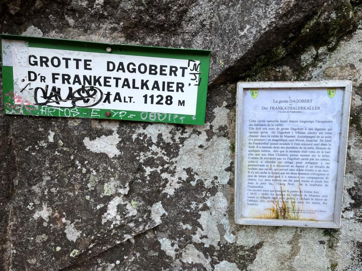 Maison Independante De Montagne En Alsace Hébergement de vacances