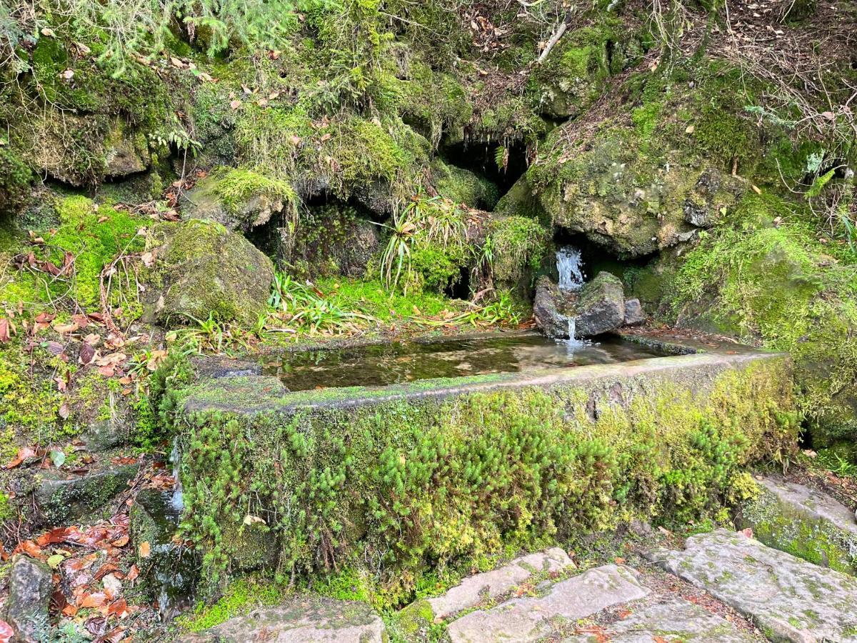 Hébergement de vacances Maison Independante De Montagne En Alsace *
