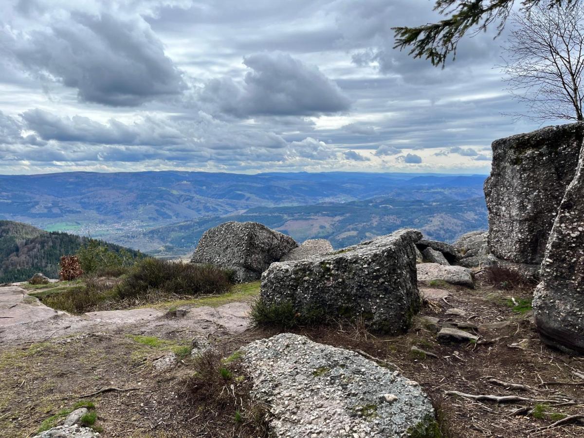 Maison Independante De Montagne En Alsace