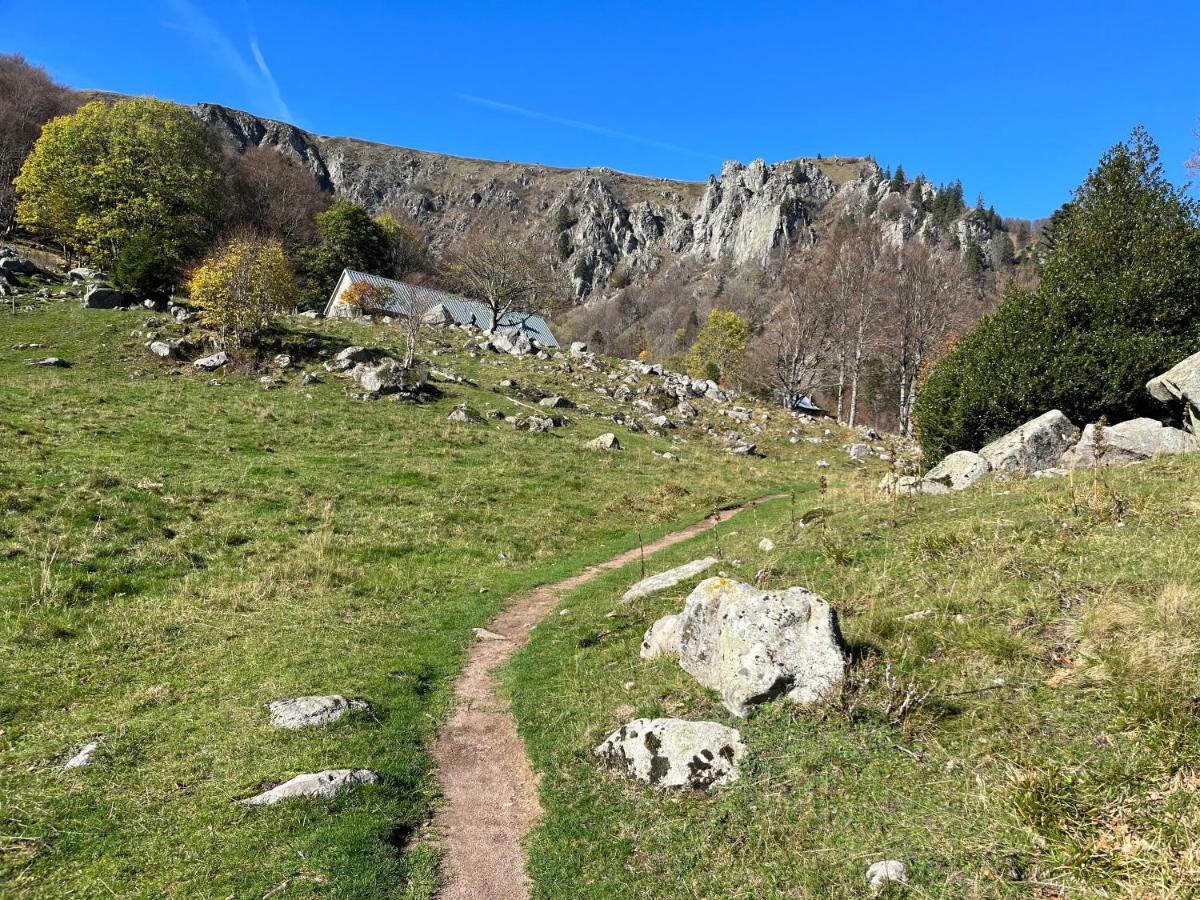 Hébergement de vacances Maison Independante De Montagne En Alsace Bellefosse