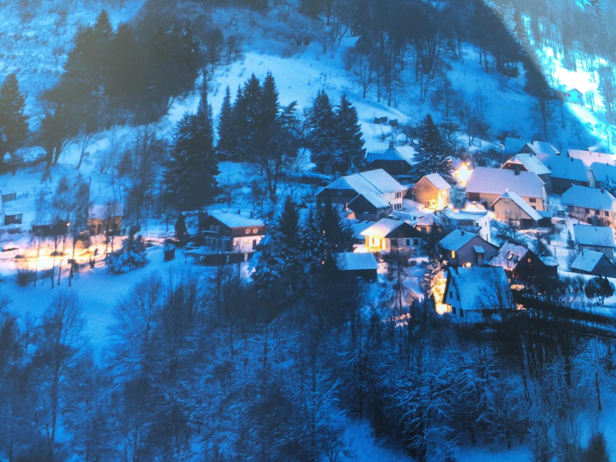 Maison Independante De Montagne En Alsace Hébergement de vacances