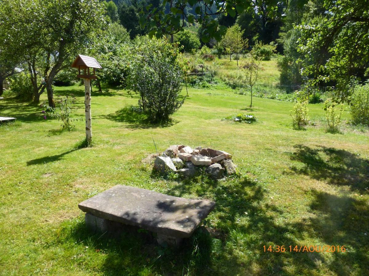 Maison Independante De Montagne En Alsace Ferienhaus
